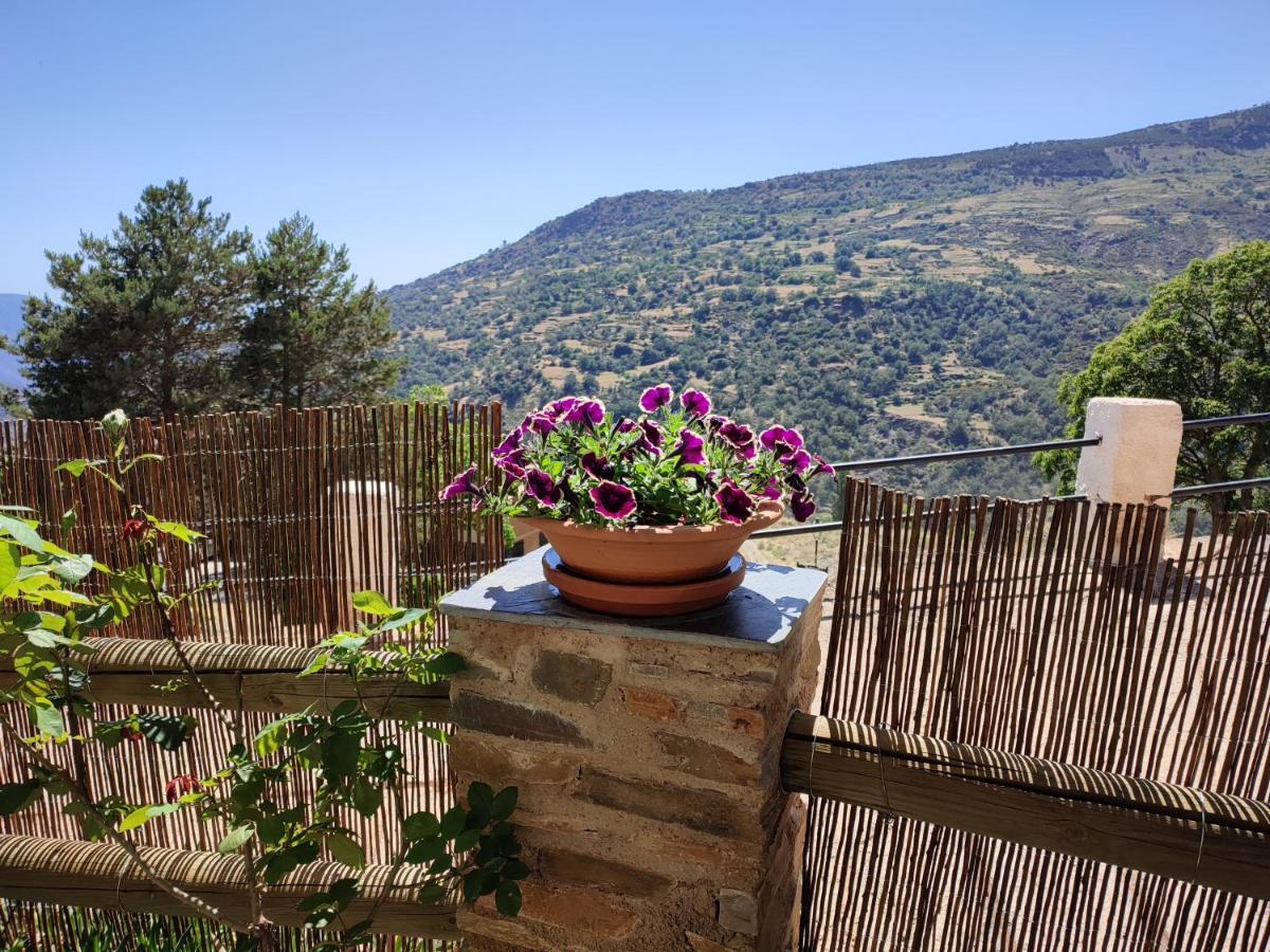 Casa Alpujarrena Fina Numero 27 บูบิยอน ภายนอก รูปภาพ