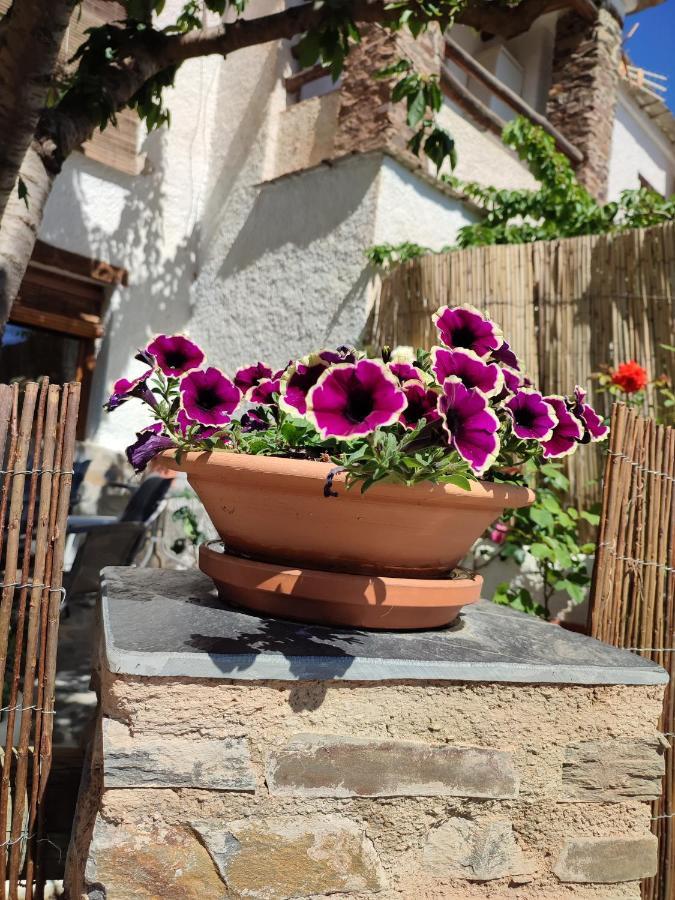 Casa Alpujarrena Fina Numero 27 บูบิยอน ภายนอก รูปภาพ